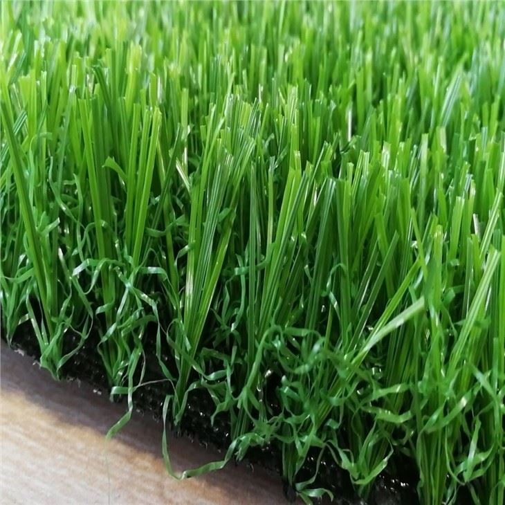 Grass Landscape 