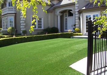 Green Turf Artificial Grass