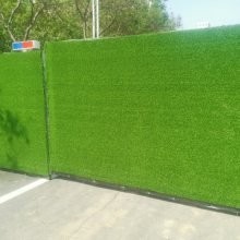 greening wall decoration